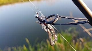 Micro Jigging Creature Baits Canal Style