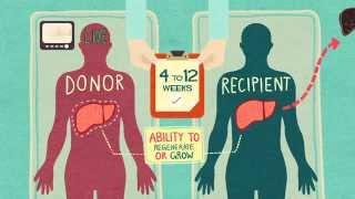 Organ Donation & Liver Transplantation