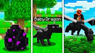 How to Train Your Dragon in MINECRAFT Pet Ender Dragon