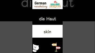 die Haut skin  Deutsche Sprache
