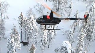 Inventering av älg med helikopter