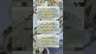 Bure Logon Ko Bhul Kar  Unique Quotes  Golden Words  Urdu Knowledge Point #shorts #urduquotes