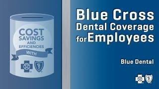 Blue Cross Dental Coverage for Employees