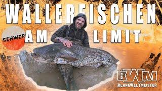 BLANKWELTMEISTER  Wallerfischen AM LIMIT  Aufgeben ist eine Option  TOUR ABBRUCH