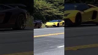 NorCal Lamborghini Event Turnout