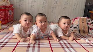 Ba bé sinh ba đòi ăn một lúc khiến người mẹ trở tay không kịp  QUỐC CHIẾN Channel