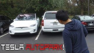 Tesla Self Parking - Say Goodbye to Parallelophobia