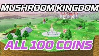 Super Mario Odyssey All Mushroom Kingdom Coins 100 purple local coins