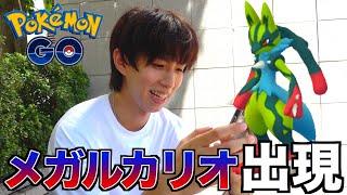 【ポケモンGO】メガルカリオ新実装！カッコ良すぎる…色違い来い！