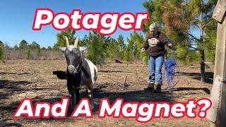 Potager and A Magnet