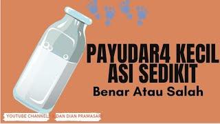 Payudara Kecil Asi Sedikit - Benarkah  Payudara Kecil mempengaruhi jumlah asi ?