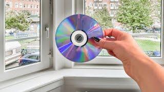 Hänge CDs ans Fenster und diese lästigen Insekten werden fernbleiben