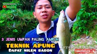 Mancing ikan nilem babon pakai pelampung di pertemuan sungai