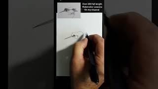 Draw a hummingbird fast and fun in real time #shorts #cute #funny #birds #drawing #art #hummingbird