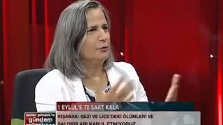 Kışanak 1 Eylül Çağrısı 2013