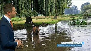 Weather images of the day across the UK - sunshine & rain - BBC & ITV weather - 19th September 2021