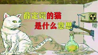 薛定谔的猫是什么 它与平行宇宙有什么关系？五分钟看懂量子力学