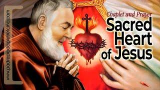 Chaplet of Sacred Heart of Jesus - Padre Pios favorite Prayer ᴴᴰ