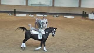Pferd International 2018 - Voltigieren - Ingelsberg Junior 1