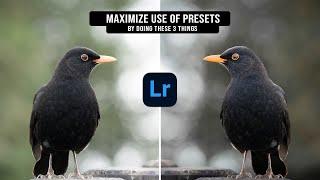 How to REALLY Use LIGHTROOM PRESETS  Do These 3 Things + Free LR Presets