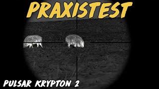Praxistest - Pulsar Krypton 2