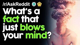 Mind Blowing Facts rAskReddit Reddit Stories   Top Posts