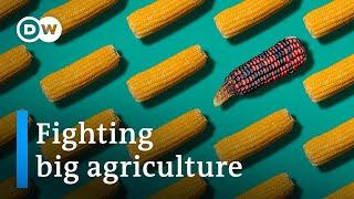 How big agriculture is taking over our diets