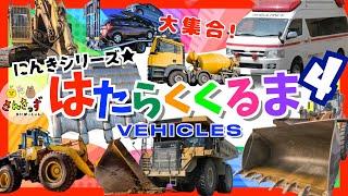 【子供向け 車アニメ】はたらくくるまpart4 救急車 ショベルカー ブルドーザー など人気の 働く車 12種が大集合！ vehicles 重機【乗り物 実写動画】