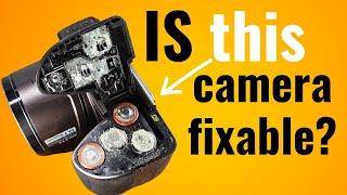 Exploding Batteries Nightmare Restoring a Digital Camera to Life