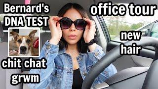 LETS HANG OUT ‍️ My Weekend Chit Chat GRWM Hair Appointment Dog DNA Test Office Tour & More