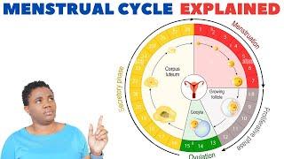 The 4 Phases Of The Menstrual Cycle  Complete Explanation & Signs