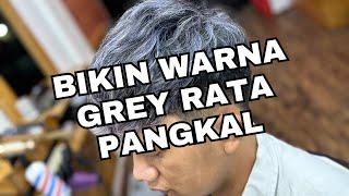 Warna grey auto rata sampai pangkal