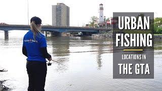 Port Credit Memorial Park Mississauga  Urban Fishing Locations in the GTA