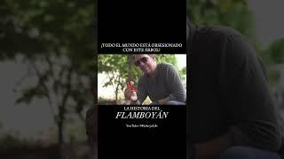 La Historia del Flamboyán - Video Completo @KiskeyaLife #Flamboyan #republicadominicana #kiskeyalife