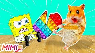 Hamster VS SpongeBob POP IT Battle Challenge In Real Life  HAMSTER