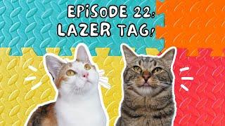 Cat Conversations with Chip & Biskit  Ep. 22 Lazer Tag