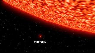 Sun vs Biggest Star Size Comparison  3d Animation Comparison  Stars Real Scale Comparison