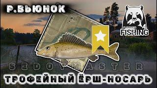 Трофейный Ерш-носарь  Русская Рыбалка 4  Река Вьюнок