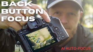 Is Back Button Focus Relevant with AI Auto Focus?      OM-1 BBF Setup