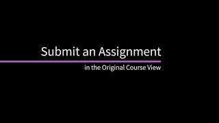 Submit an Assignment