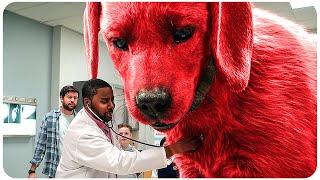 CLIFFORD THE BIG RED DOG Funniest Scenes 4K ᴴᴰ