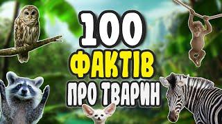 100 ФАКТІВ ПРО ТВАРИН  ЦІКАВО ЗНАТИ