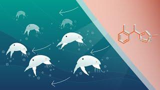 Selektope mode of action - Lifecycle of a barnacle