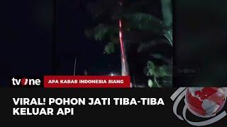 Horor Pohon Jati Tiba-tiba Keluarkan Semburan Api  AKIS tvOne