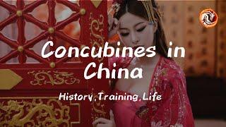 Concubines in China – History Training Life