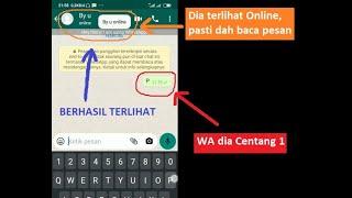 Cara Melihat Whatsapp Centang Satu Sudah Baca Pesan  Belum Lagi Online  Tidak