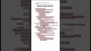 Opioid side effects