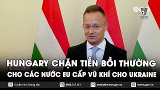 Hungary chặn tiền bồi thường cho các nước EU cấp vũ khí cho Ukraine - Tin Thế giới - VNews