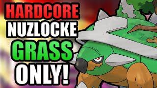 Pokémon Platinum Hardcore Nuzlocke - Grass Types Only No items no overleveling