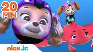 PAW Patrol Aqua Pups & Mermaid Rescues w Skye & Coral  20 Minute Compilation  Nick Jr.